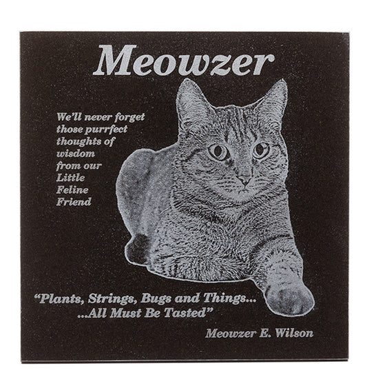 5 Heartfelt Ways to Honor a Beloved Cat in Your Garden