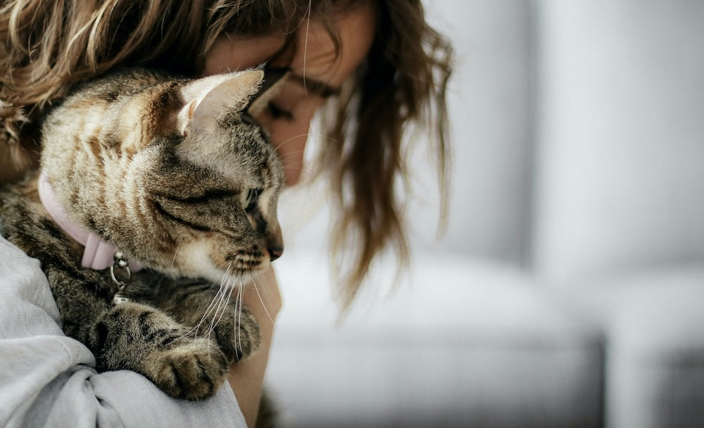 How to Cope With the Loss of a Pet: Dealing With Grief, Loss, and Life After Losing a Companion