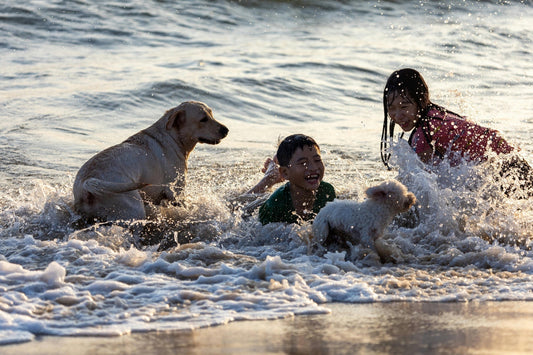 What to Give a Child Who Lost a Pet: Helping Kids Cope with Pet Loss and Euthanasia